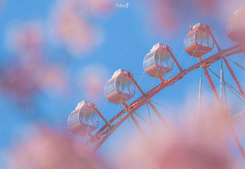kelvin李の写真作品 182