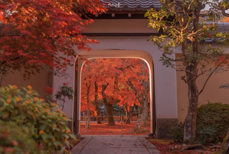 kelvin李の写真作品 148