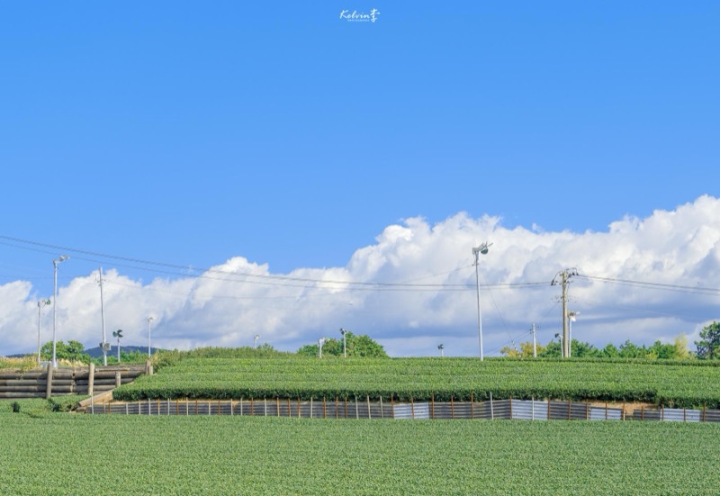 kelvin李の写真作品 166
