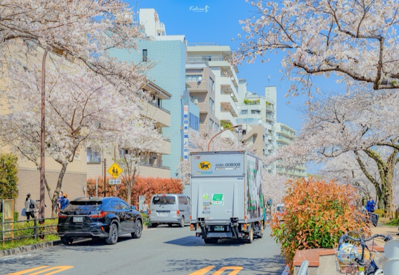 kelvin李の写真作品 096