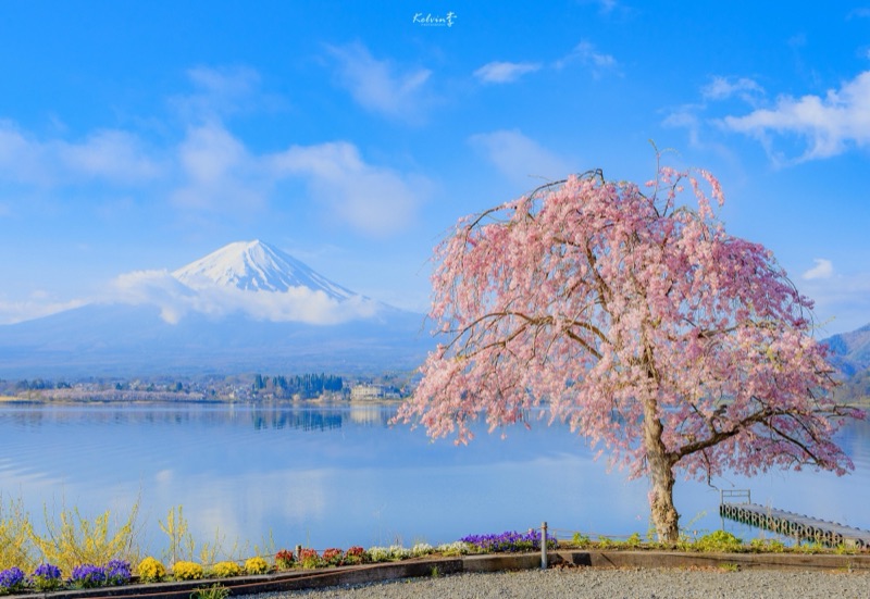 kelvin李の写真作品 100