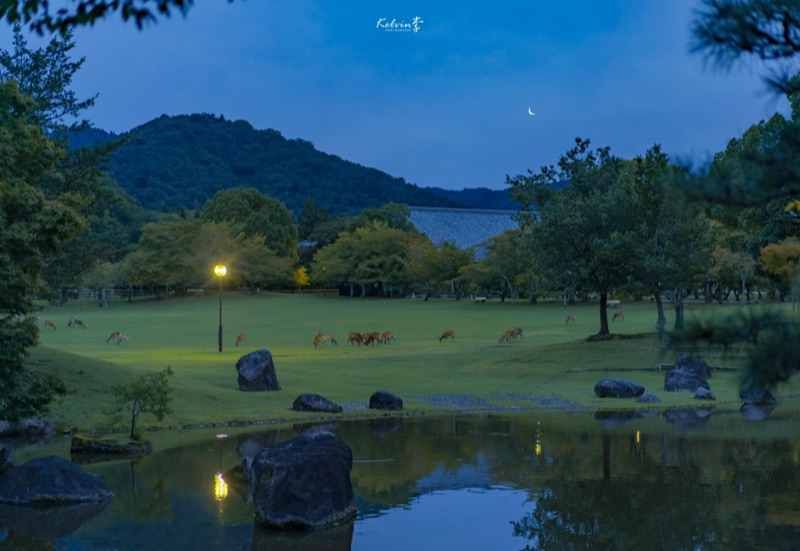 kelvin李の写真作品 080