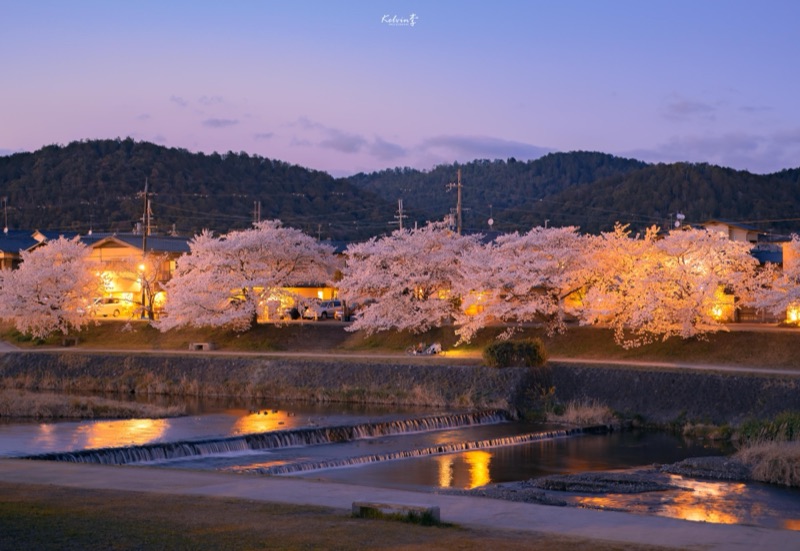 kelvin李の写真作品 033