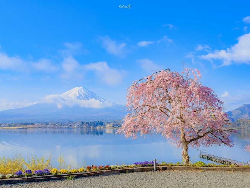 kelvin李の写真作品 040