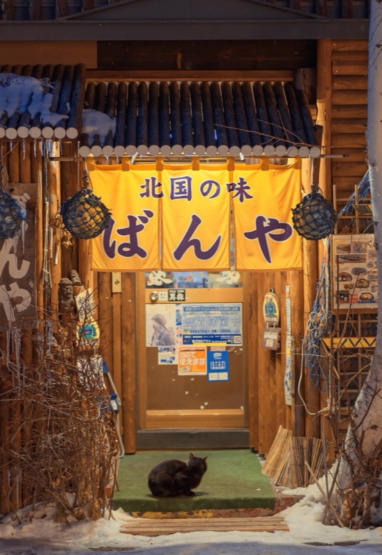 kelvin李の写真作品 001